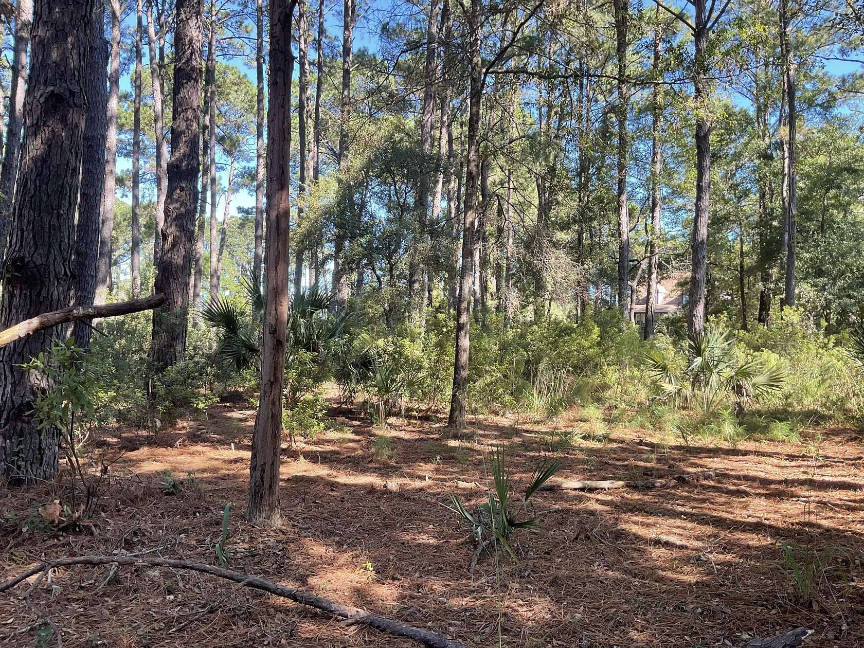 1.13 Acres of Residential Land for Sale in Edisto Island, South Carolina