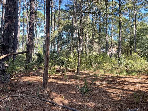 1.13 Acres of Residential Land for Sale in Edisto Island, South Carolina