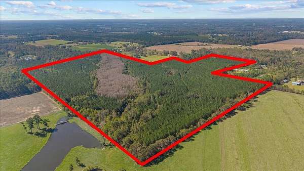 94.7 Acres of Recreational & Residential Land for Sale in Cottonwood, Alabama