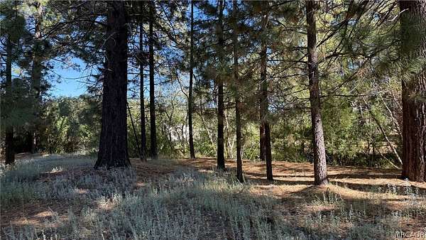 1 Acre of Residential Land for Sale in Big Bear Lake, California