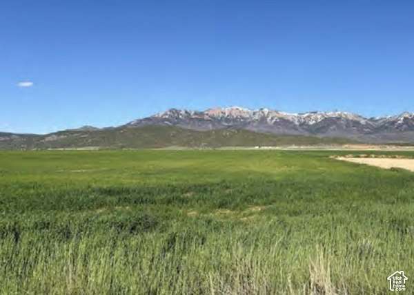 155 Acres of Agricultural Land for Sale in Nephi, Utah