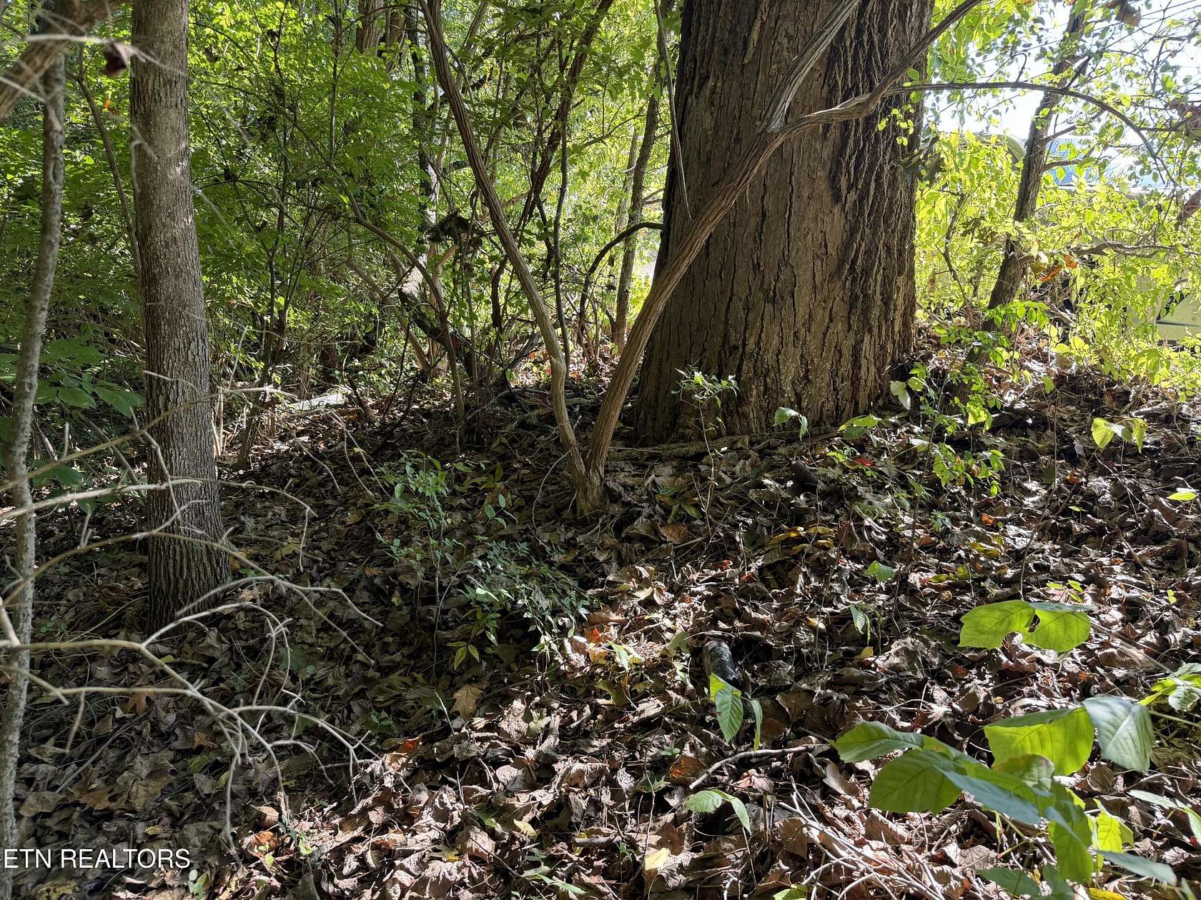 0.36 Acres of Residential Land for Sale in Knoxville, Tennessee