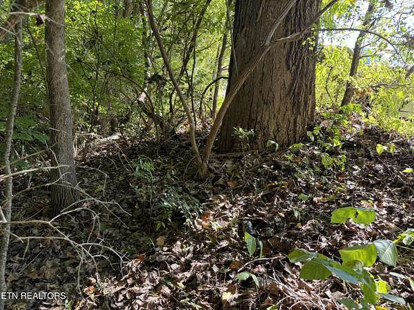 0.36 Acres of Residential Land for Sale in Knoxville, Tennessee