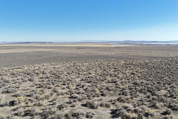40 Acres of Land for Sale in New Princeton, Oregon