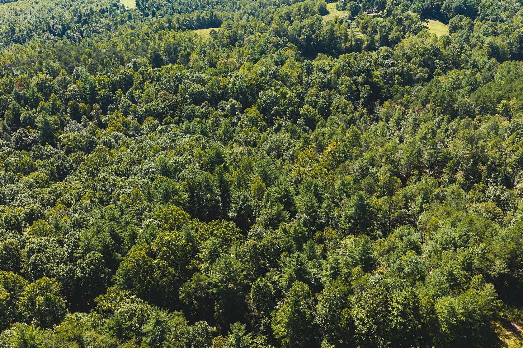 7 Acres of Land for Sale in Hays, North Carolina