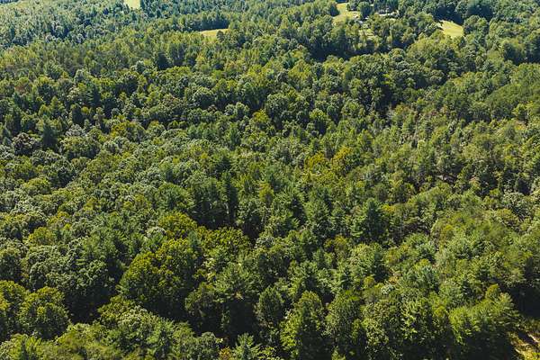 7 Acres of Land for Sale in Hays, North Carolina