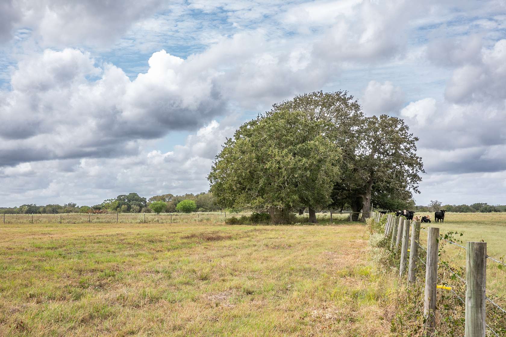 2.5 Acres of Mixed-Use Land for Sale in Burton, Texas