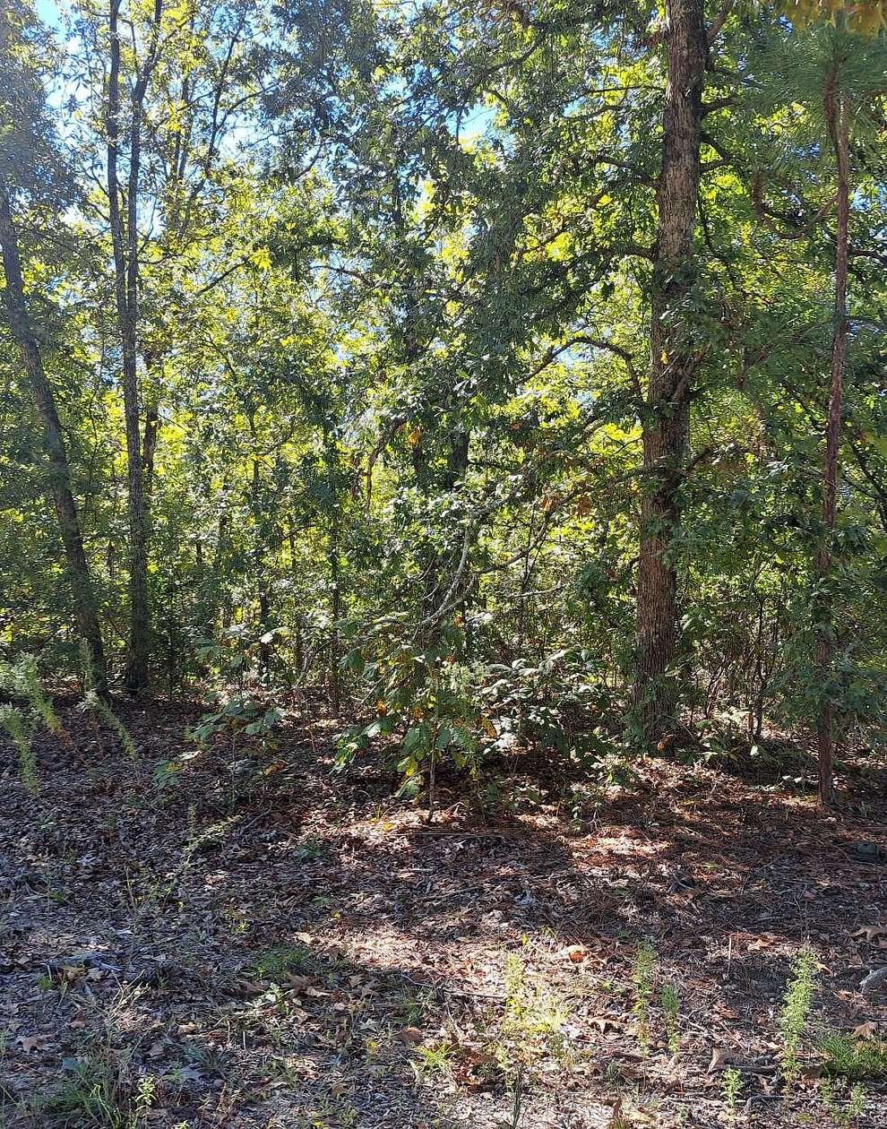 2 Acres of Residential Land for Sale in Elloree, South Carolina