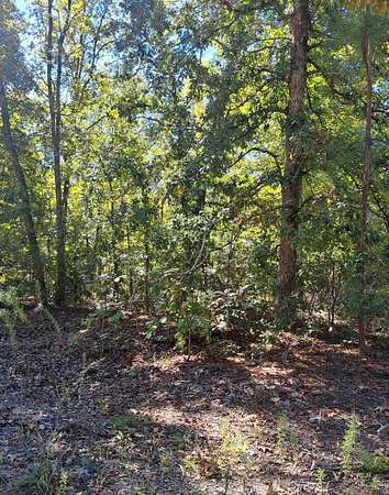 2 Acres of Residential Land for Sale in Elloree, South Carolina