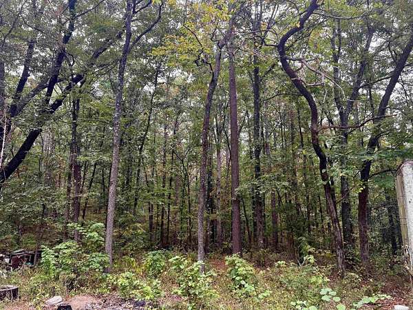 18.1 Acres of Recreational Land for Sale in Sheridan, Arkansas