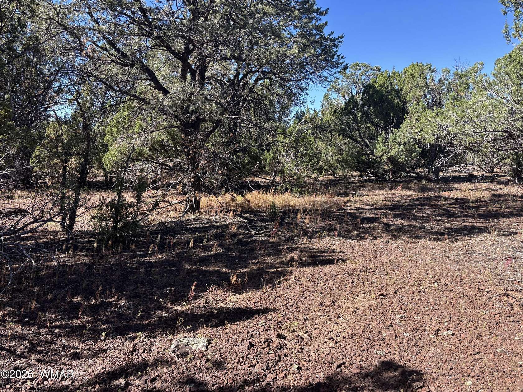 1.6 Acres of Residential Land for Sale in Vernon, Arizona