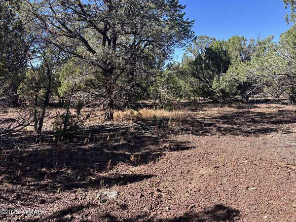 1.6 Acres of Residential Land for Sale in Vernon, Arizona