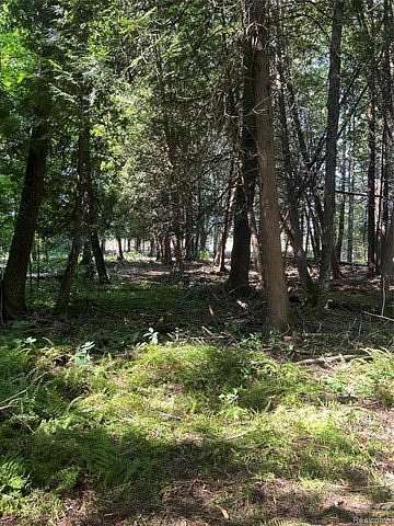 1.6 Acres of Residential Land for Sale in South Arm Township, Michigan