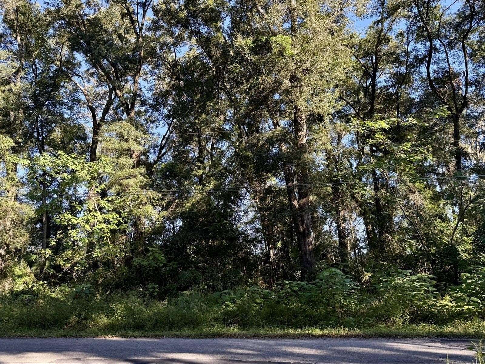 0.44 Acres of Residential Land for Sale in Ocala, Florida