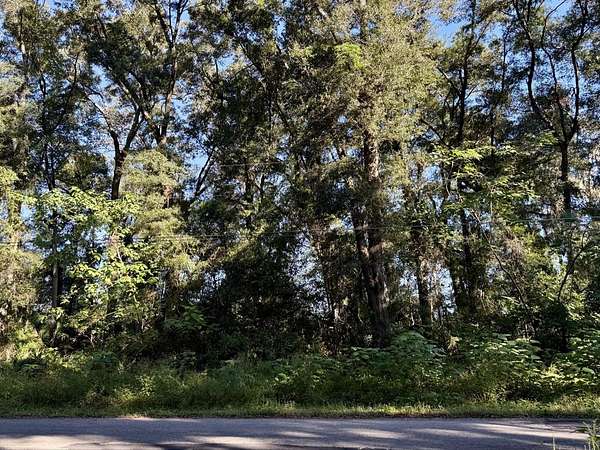 0.44 Acres of Residential Land for Sale in Ocala, Florida