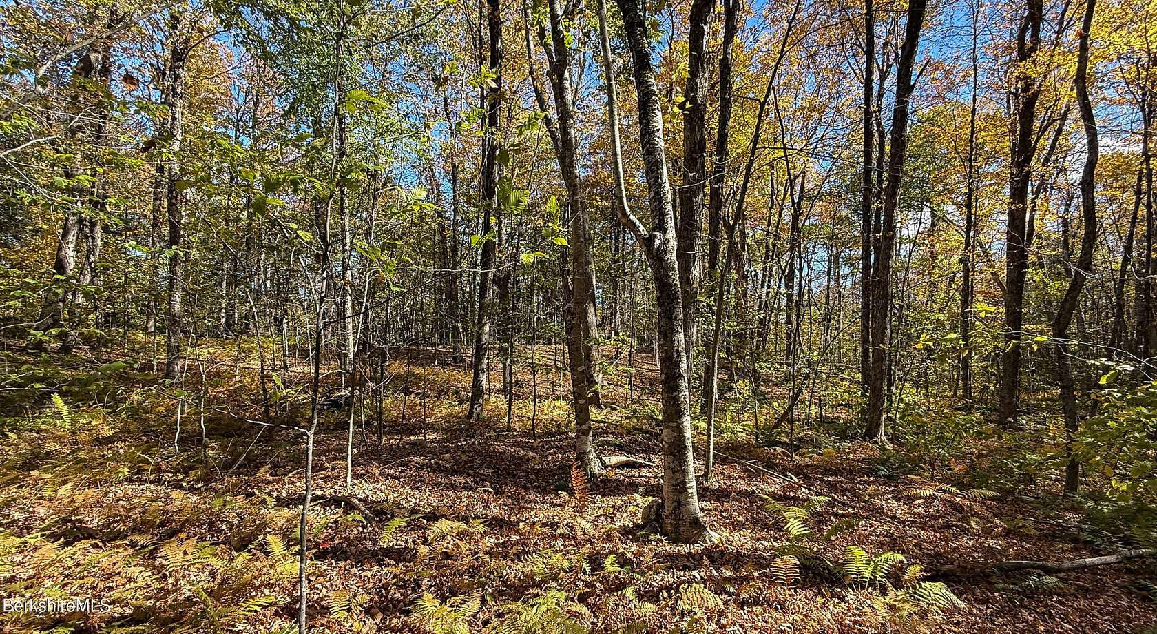 3 Acres of Residential Land for Sale in Becket, Massachusetts