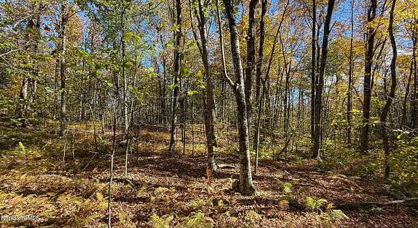 3 Acres of Residential Land for Sale in Becket, Massachusetts