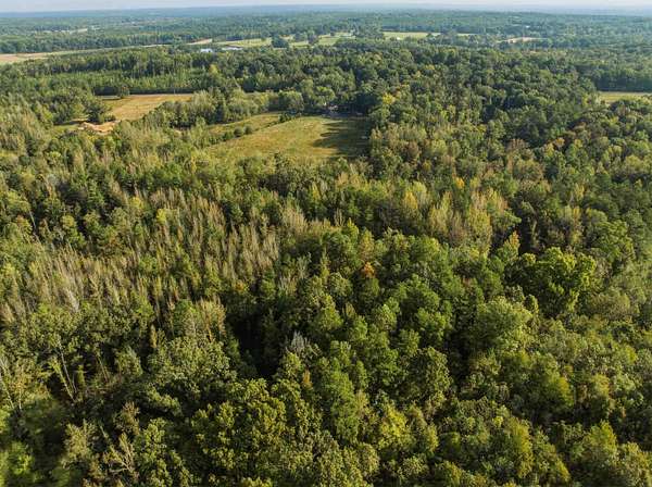 35 Acres of Recreational Land for Sale in Middleton, Tennessee