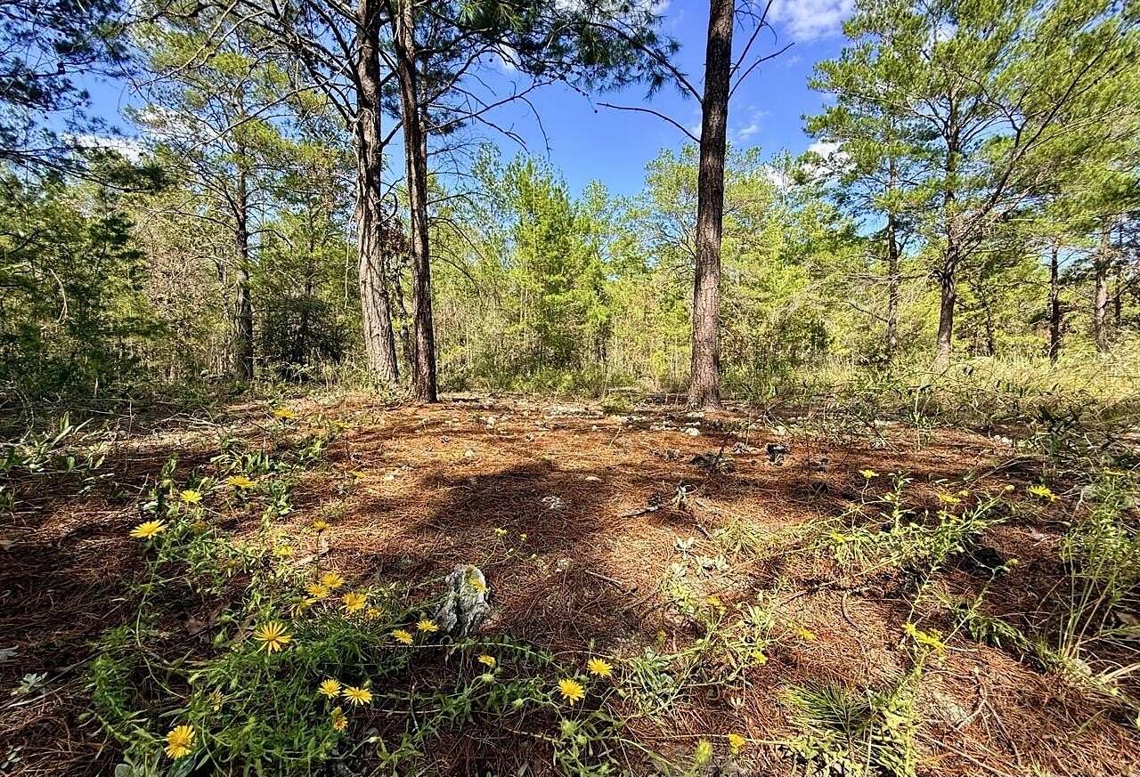 0.92 Acres of Residential Land for Sale in DeFuniak Springs, Florida
