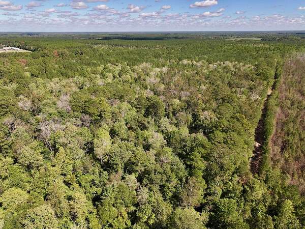 47.6 Acres of Recreational Land for Sale in Deep Run, North Carolina