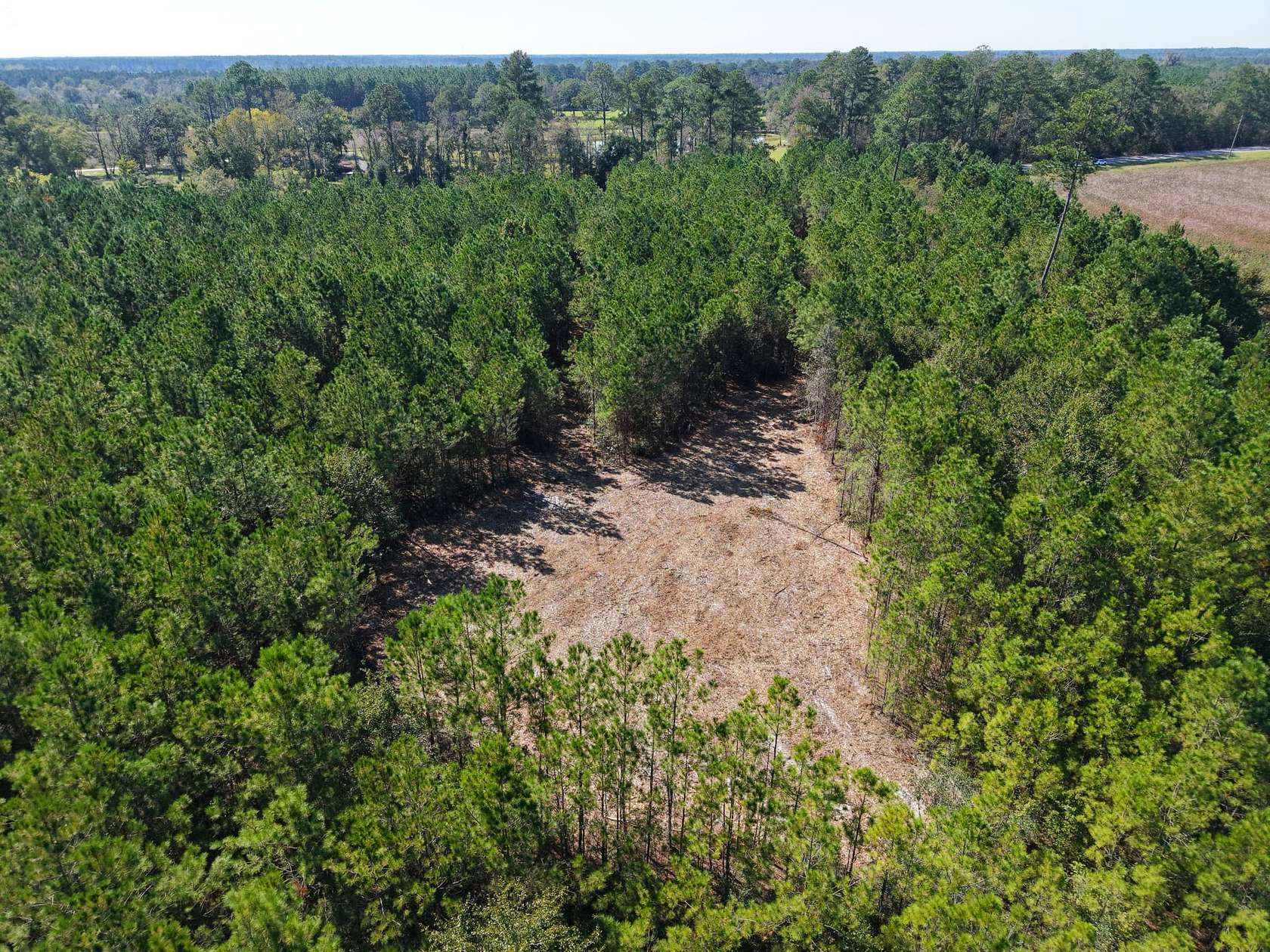 3 Acres of Land for Sale in Millwood, Georgia