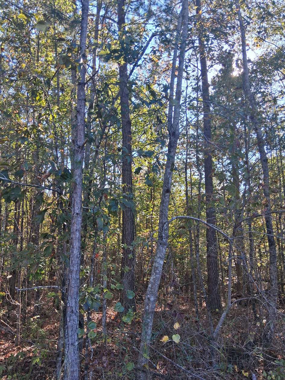 8.23 Acres of Residential Land for Sale in Wadley, Alabama