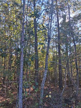 8.23 Acres of Residential Land for Sale in Wadley, Alabama