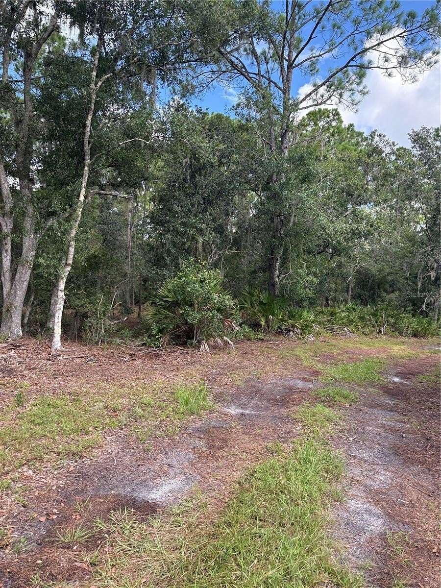 5 Acres of Residential Land for Sale in Myakka City, Florida
