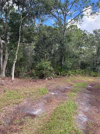 5 Acres of Residential Land for Sale in Myakka City, Florida