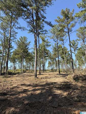 6.52 Acres of Land for Sale in Munford, Alabama