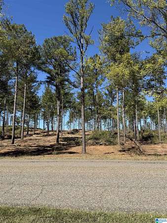 6.52 Acres of Land for Sale in Munford, Alabama