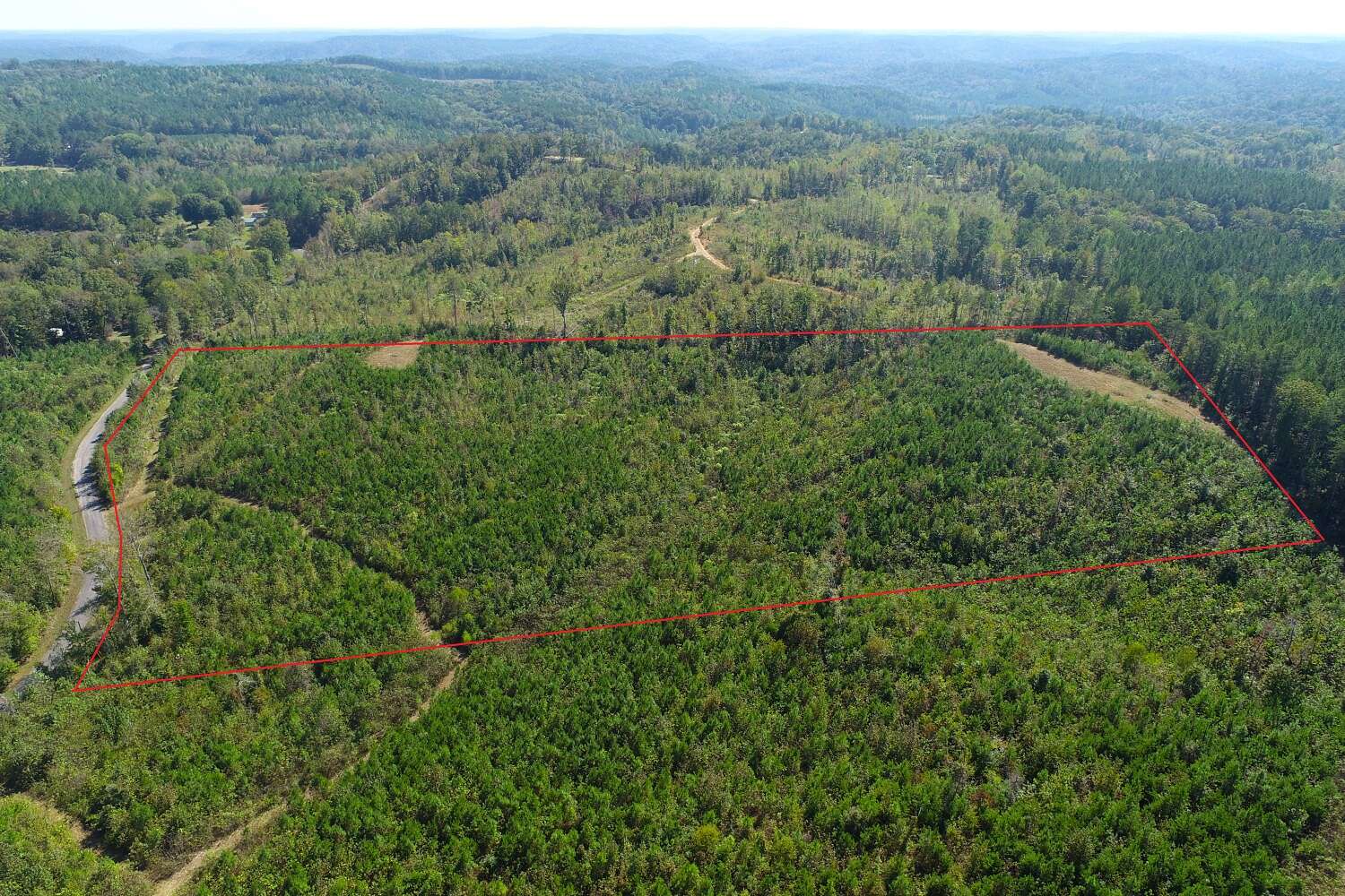 12.1 Acres of Land for Sale in Carbon Hill, Alabama