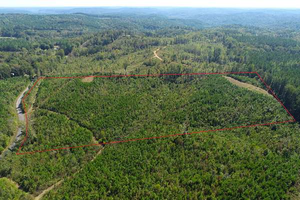12.1 Acres of Land for Sale in Carbon Hill, Alabama