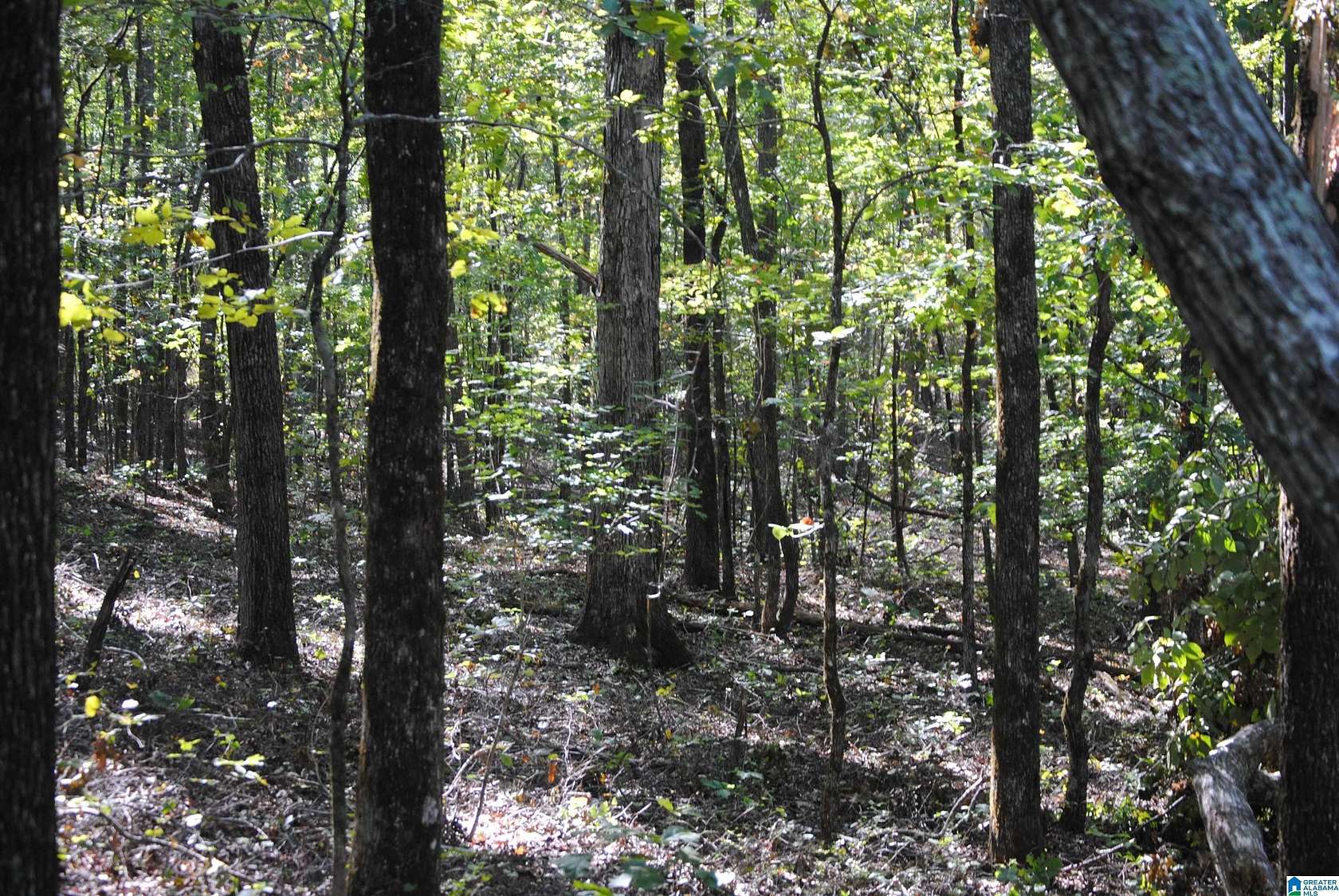 3 Acres of Land with Home for Sale in Roanoke, Alabama