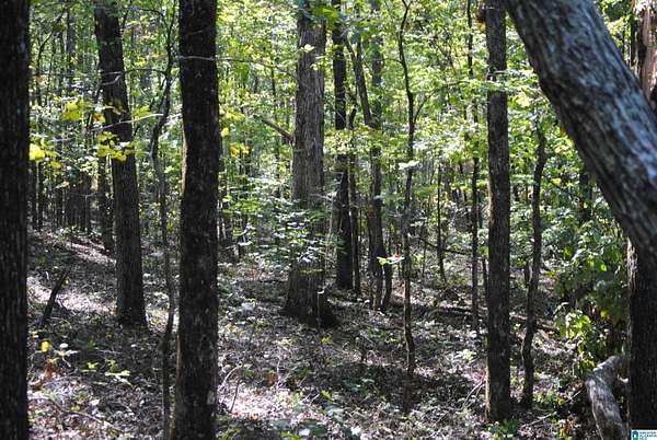 3 Acres of Land with Home for Sale in Roanoke, Alabama