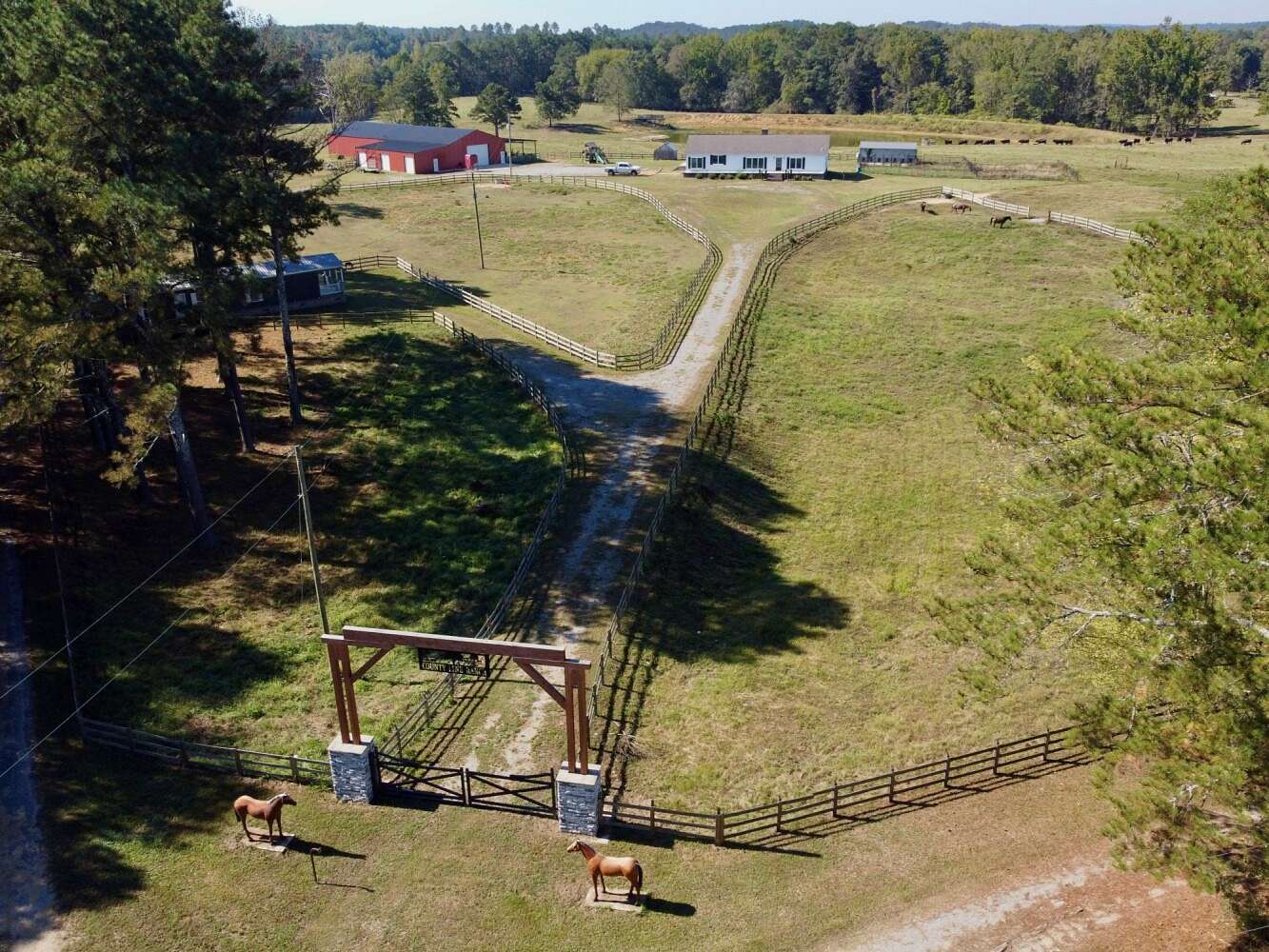 123 Acres of Land for Sale in Trafford, Alabama