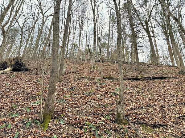 47 Acres of Recreational Land for Sale in Bluff City, Tennessee