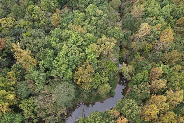 60 Acres of Recreational Land for Sale in Creal Springs, Illinois