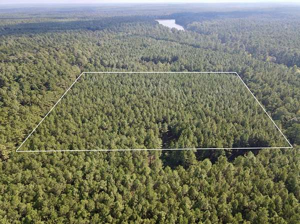 10 Acres of Recreational & Residential Land for Sale in Lake, Mississippi