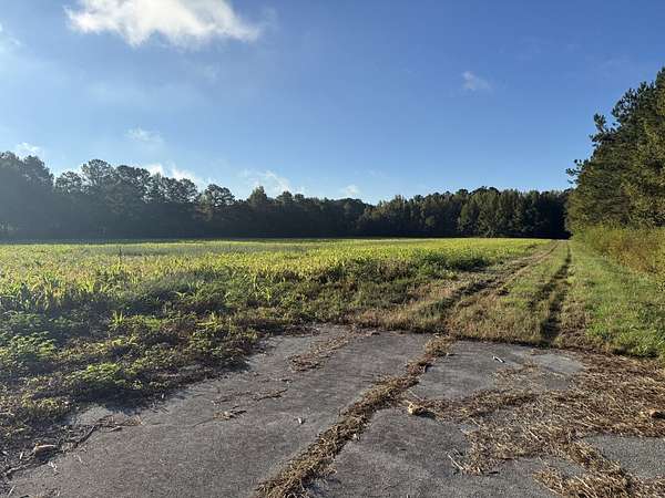 11.8 Acres of Commercial Land for Sale in Chadbourn, North Carolina