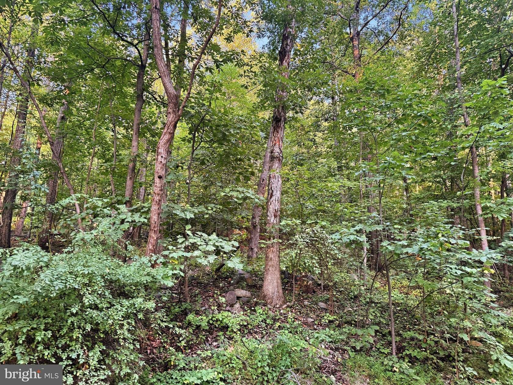 0.78 Acres of Residential Land for Sale in Harpers Ferry, West Virginia