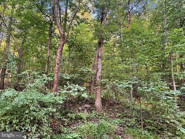 0.78 Acres of Residential Land for Sale in Harpers Ferry, West Virginia