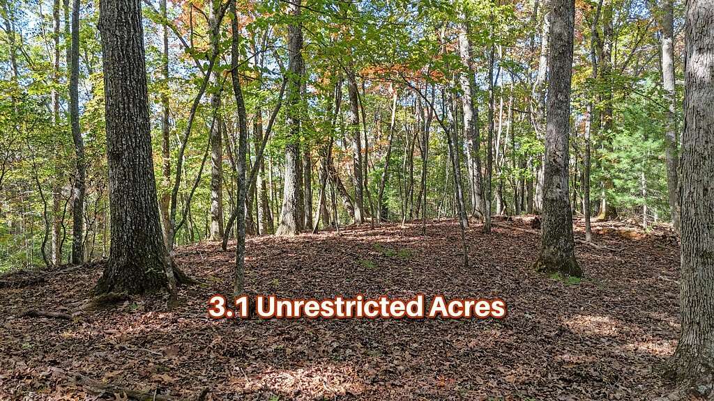 3.1 Acres of Land for Sale in Franklin, North Carolina