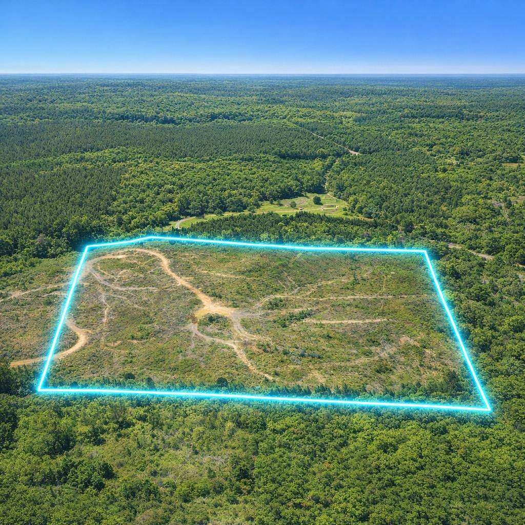 80 Acres of Recreational & Residential Land for Sale in Noxapater, Mississippi