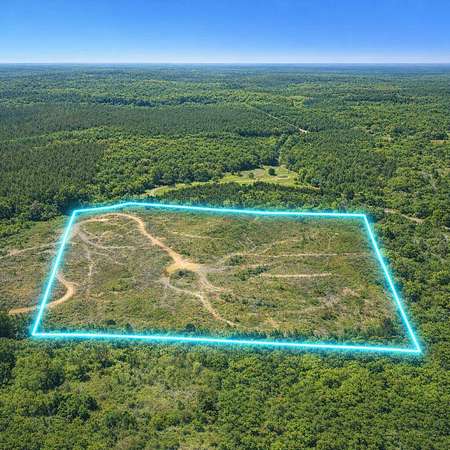 80 Acres of Recreational & Residential Land for Sale in Noxapater, Mississippi