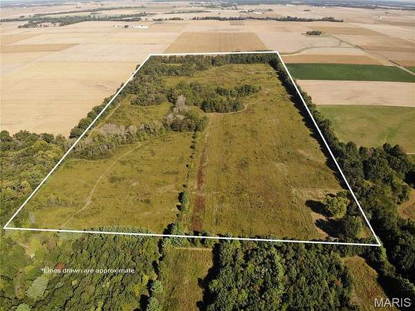 80 Acres of Land for Sale in Kinmundy, Illinois