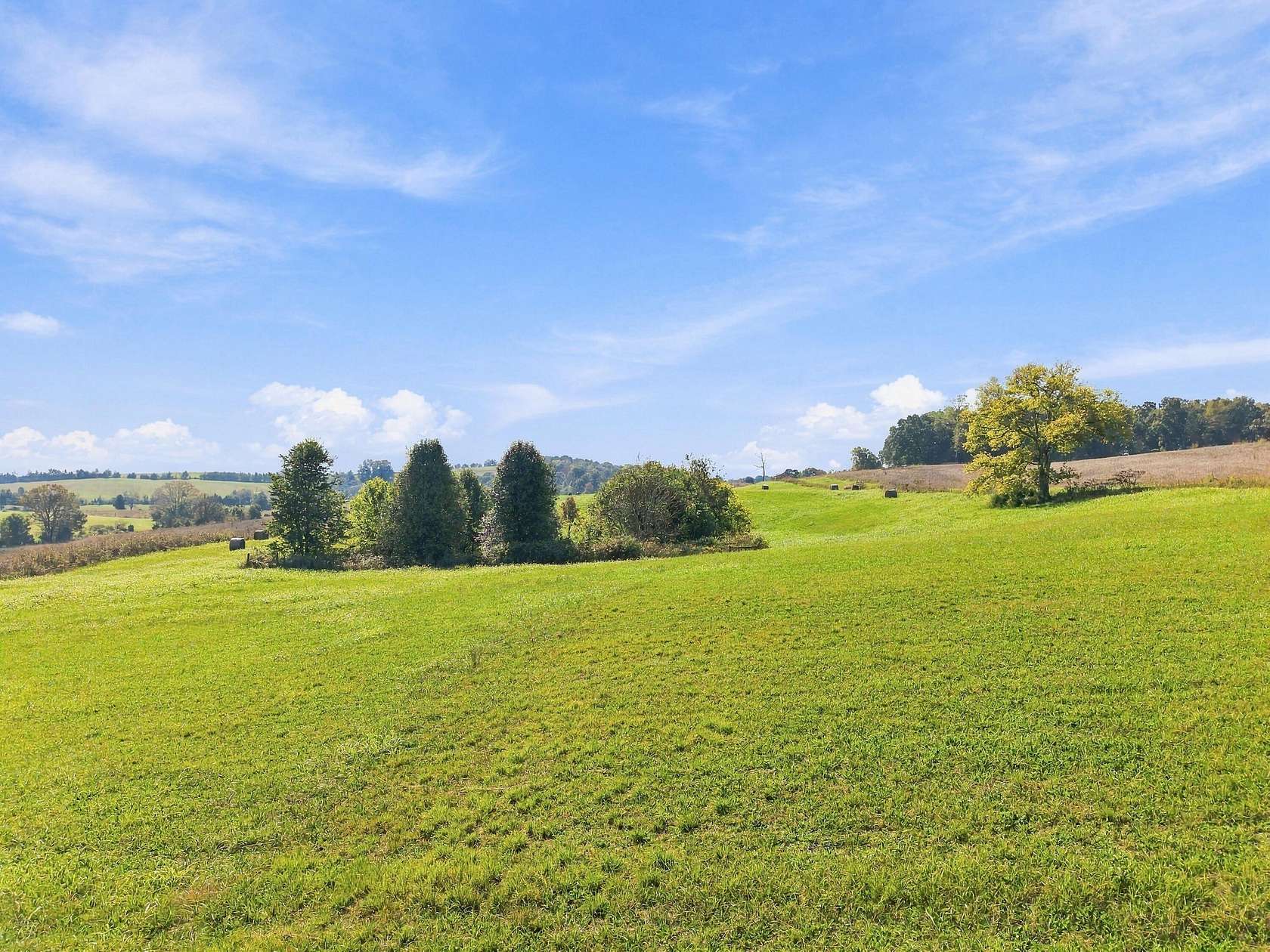 53.3 Acres of Agricultural Land for Sale in Russellville, Tennessee