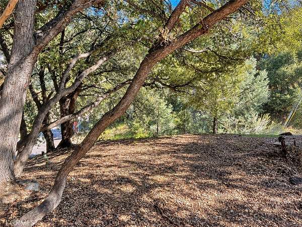 0.23 Acres of Land for Sale in Pine Mountain Club, California