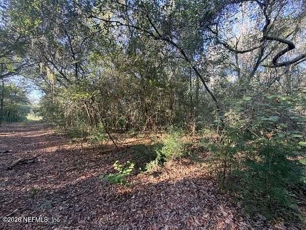 10 Acres of Residential Land for Sale in Keystone Heights, Florida
