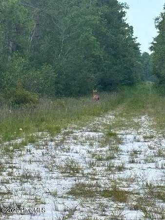 1.45 Acres of Land for Sale in Boiling Spring Lakes, North Carolina